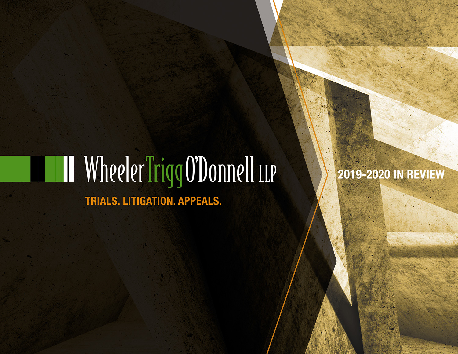 2019-2020 Year in Review - Download the PDF for Details