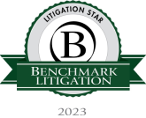 Benchmark Litigation logo​